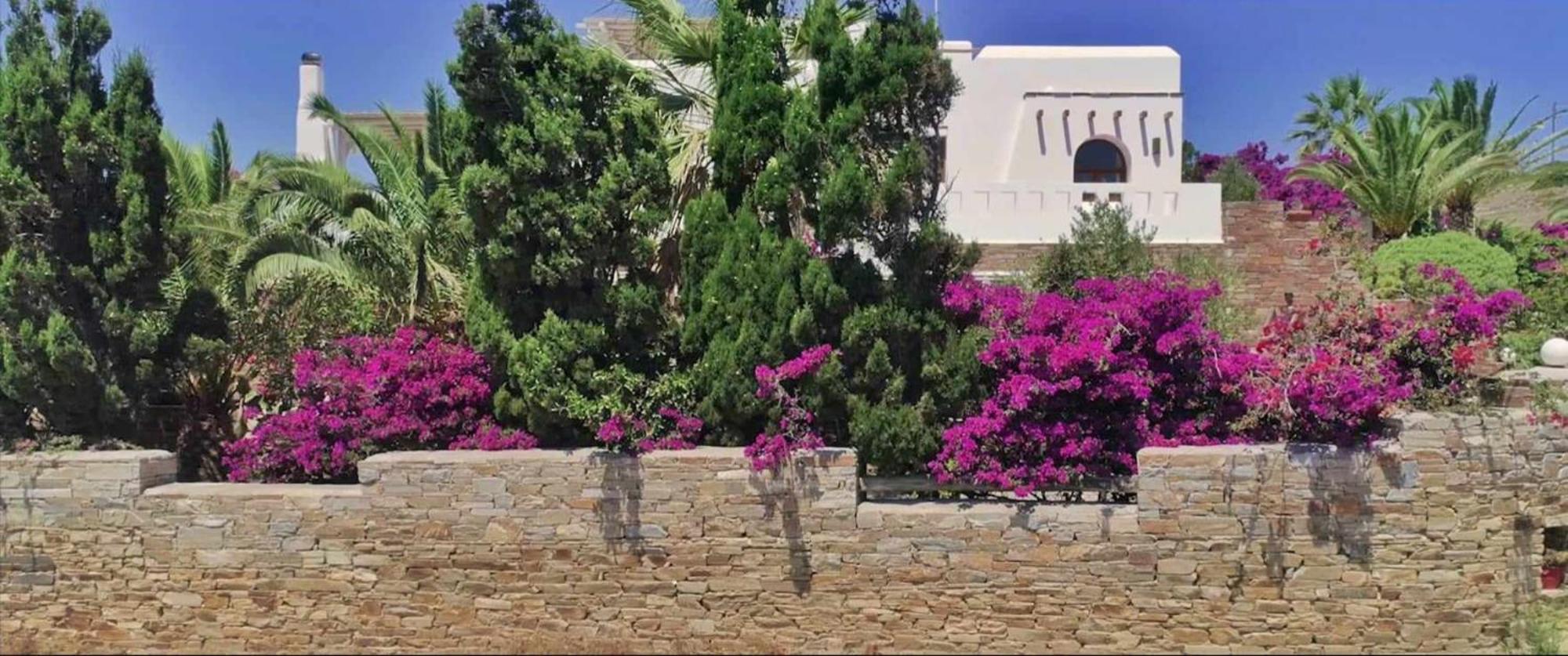 Villa Pari Manda Agios Prokopios  Exterior foto